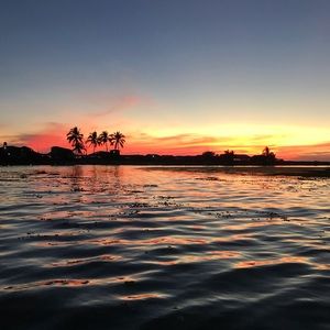 Meet your Posher, Jacqueline